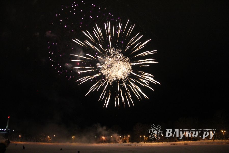 В Великих Луках зажглась новогодная ёлка (ФОТО)