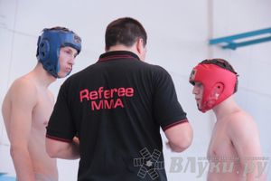 Чемпионат Псковской области по ММА