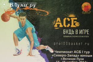 В Великих Луках проходят игры Чемпионата АСБ (фото)