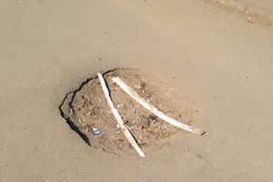 Весне дорогу!