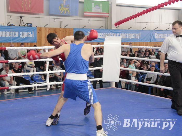 Матчевая встреча по боксу Великие Луки —Псков — Грозный (ФОТО)