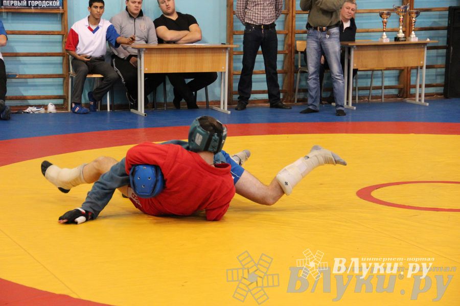 Первенство Псковской области по самбо
