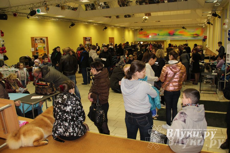 Всероссийская выставка собак в Великих Луках (фото)