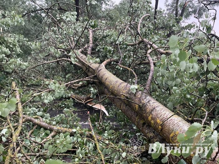 Весь ужас вчерашнего урагана в Великих Луках и районе (ФОТО, ВИДЕО)