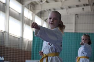 В Великих Луках состоялся Чемпионат и первенство Псковской области по тхэквондо МФТ (ФОТО)