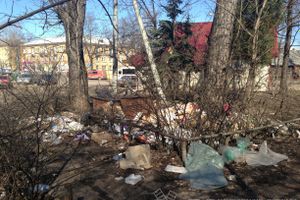 Весне дорогу!