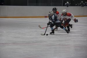 Товарищескике хоккейные игры между детскими командами прошли в Великих Луках (ФОТО)