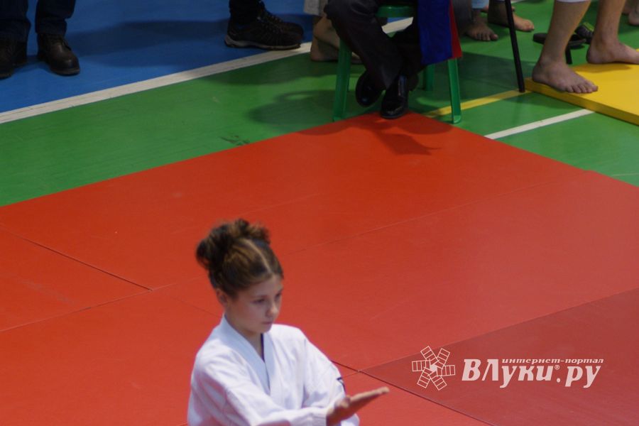 В Великих Луках прошли соревнования по каратэ (ФОТО)