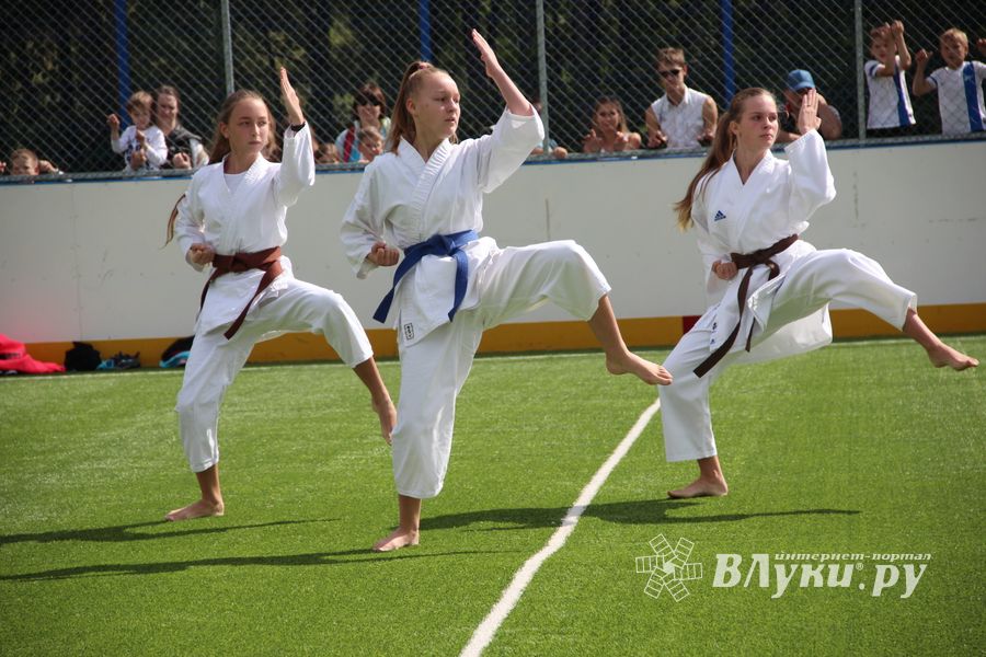 День спорта в День города: сила, мужество и грация (ФОТО)