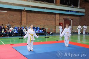 В Великих Луках прошло Первенство по тхэквондо (фото)