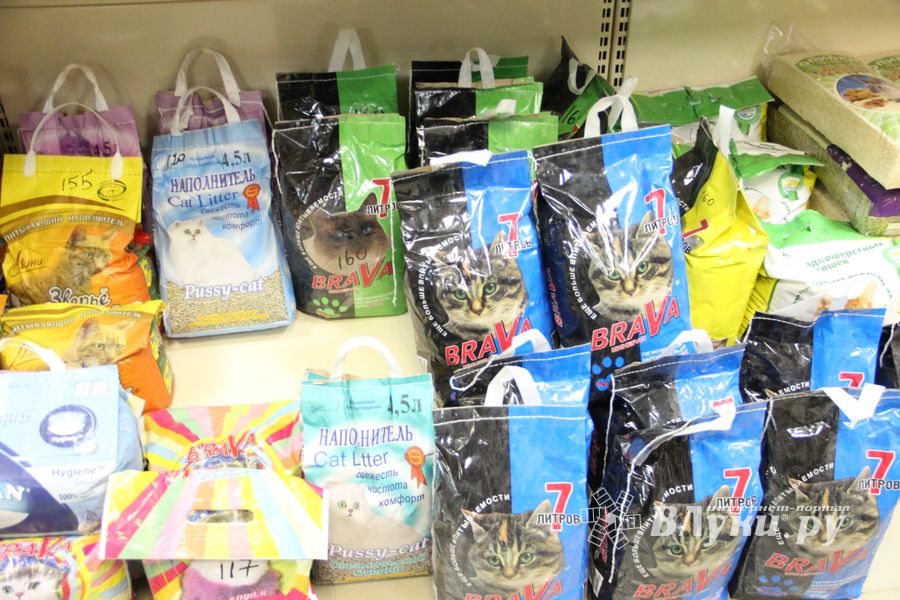 «Zooбастики»: подарите праздник своим любимцам! (ФОТО+ВИДЕО)