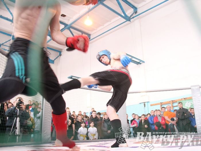 Первый чемпионат и первенство Псковской области по смешанным боевым искусствам «ММА»