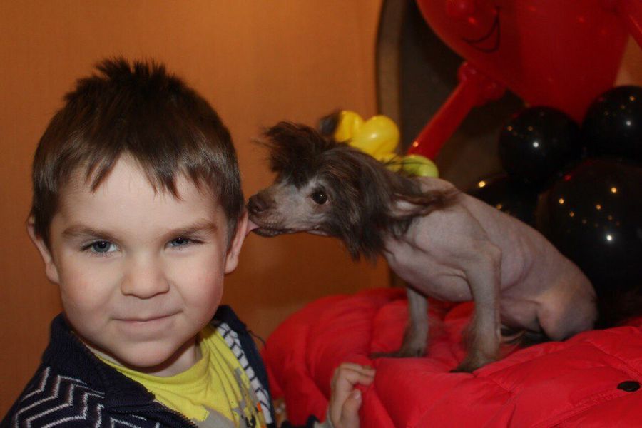 Объявляем победителей фотоконкурса «Косточка к Новому году» (ФОТО)