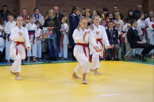 В Великих Луках прошли соревнования по каратэ (ФОТО)