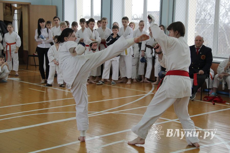 В Великих Луках прошел  турнир по Шотокан каратэ
