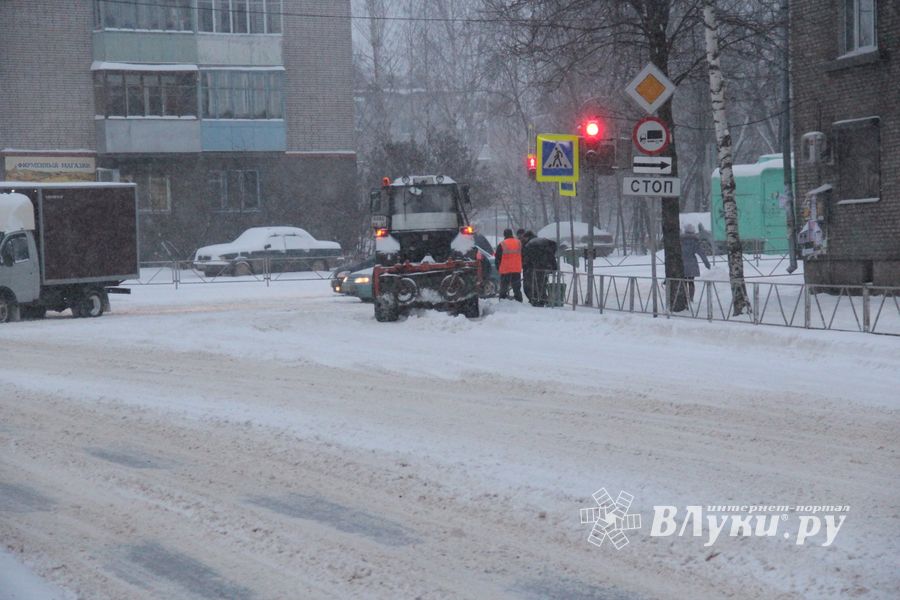 Великие Луки заносит снегом (фото)