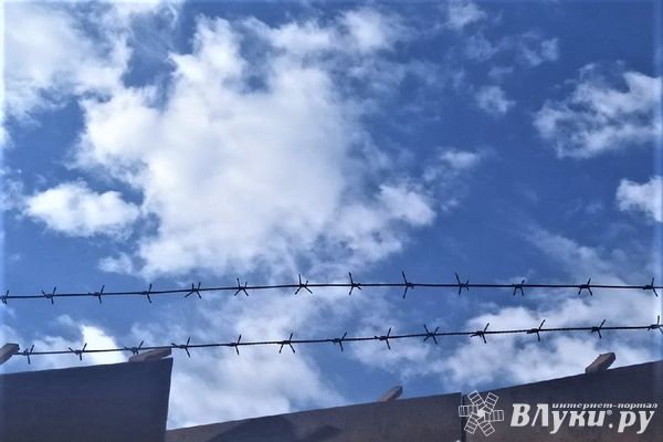 Несовершеннолетняя умерла в наркопритоне в Псковской области