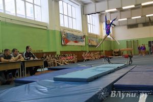 В Великих Луках состоялось Первенство по командной гимнастике (фото)