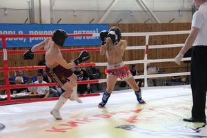 В Великих Луках прошел Кубок области по кикбоксингу (ФОТО)