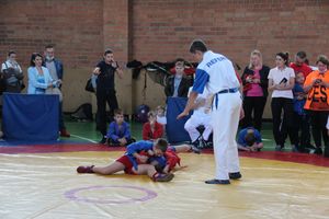 Фестиваль боевых искусств прошел в Великих Луках (ФОТО)