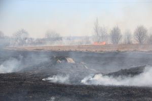 Великолукский район полыхает (ФОТО; ВИДЕО)
