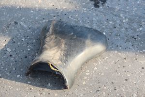 Массовое ДТП в Великих Луках (ФОТО)