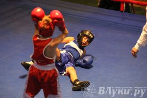 Открытие 16-го  Международного турнира по боксу