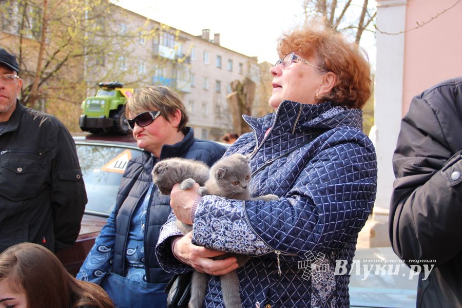 СТЦ «СтройСам» порадовал великолучан на универсальной ярмарке «Весна-2018» (ФОТО)