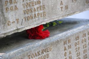 Юные великолучане почтили память бойцов Великой войны (ФОТО)