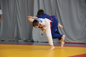 В Великих Луках прошли соревнования по дзюдо (ФОТО)