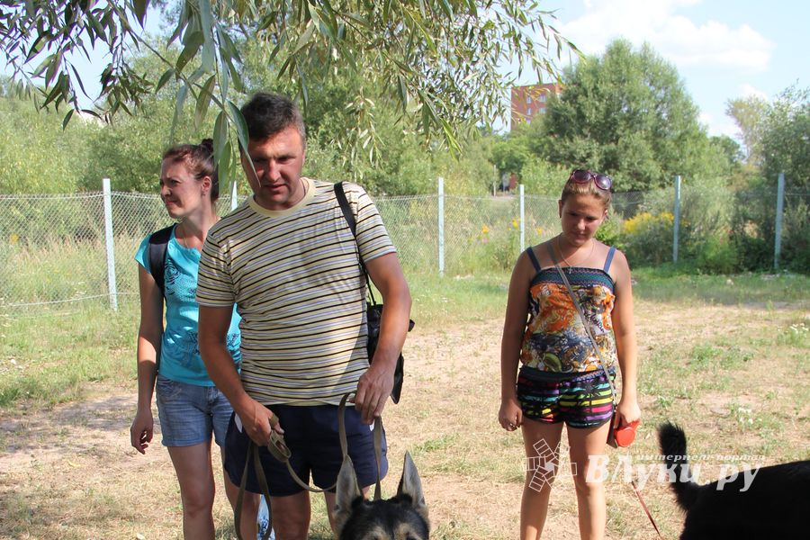 День открытых дверей на спортивно-дрессировочной площадке