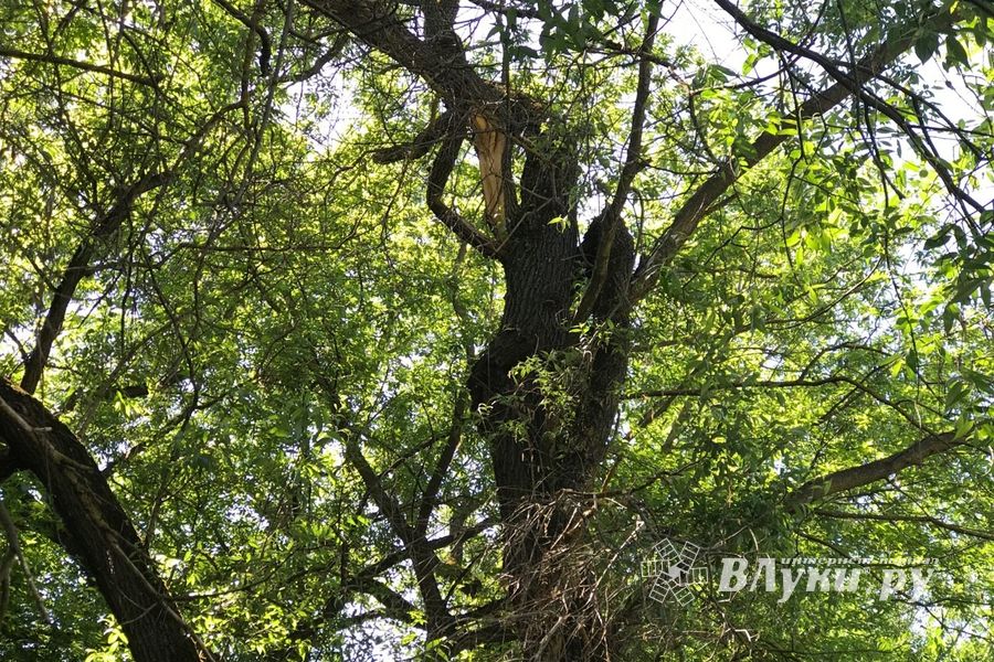 Опасный тротуар на проспекте Гагарина (ФОТО)