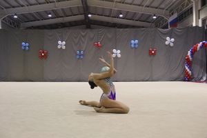 В Великих Луках проходит Кубок Псковской области по художественной гимнастике (ФОТО) (0+)