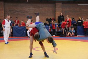В Великих Луках прошли соревнования по самбо (ФОТО)