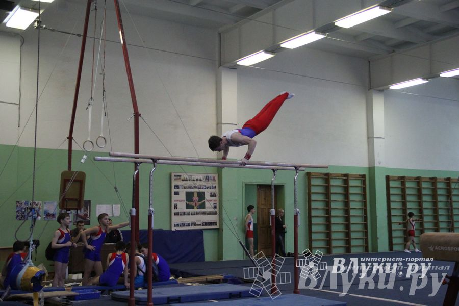 В Великих Луках прошло Первенство Области по спортивной гимнастики (фото)