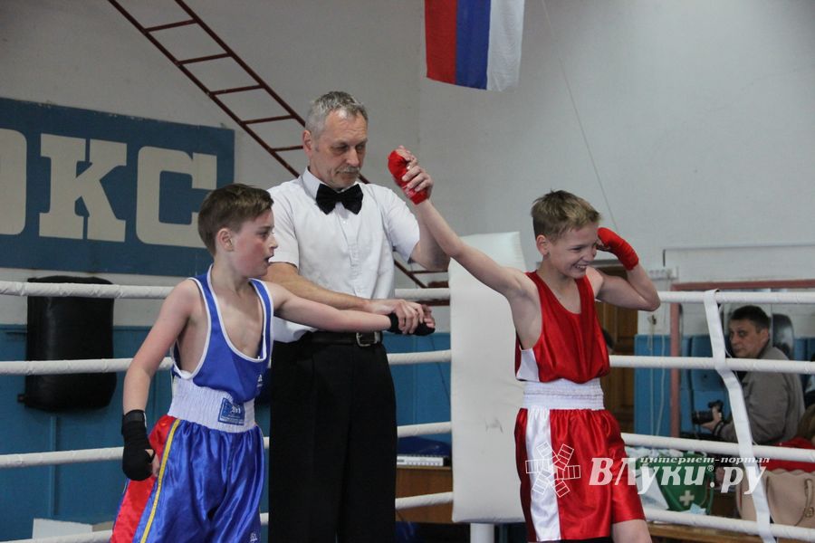 Юные великолучане выявили сильнейших боксёров (ФОТО)