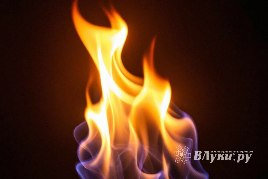 Изображение создано с помощью Шедеврум