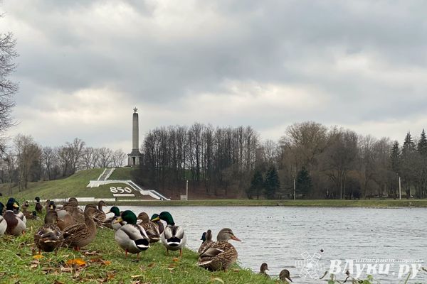 Синоптики рассказали, как долго простоит аномально тёплая погода