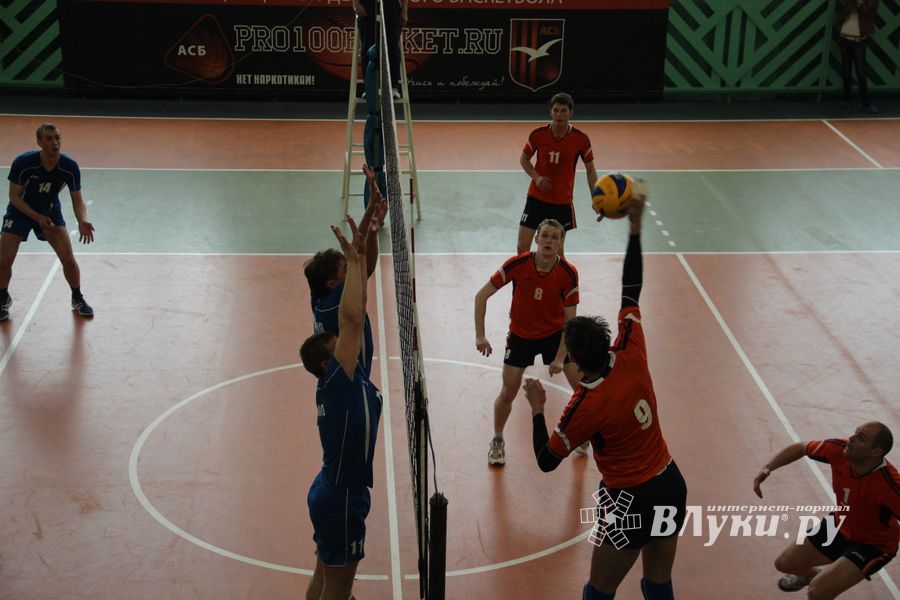 Финал чемпионата области по волейболу