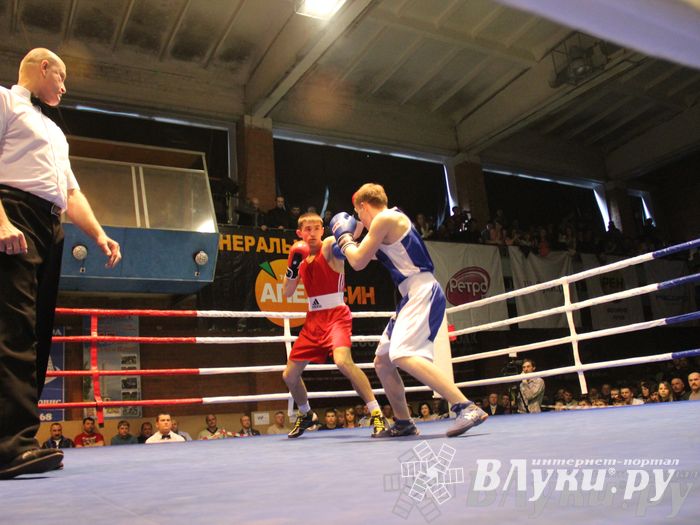 В Великих Луках состоялась матчевая встреча по боксу