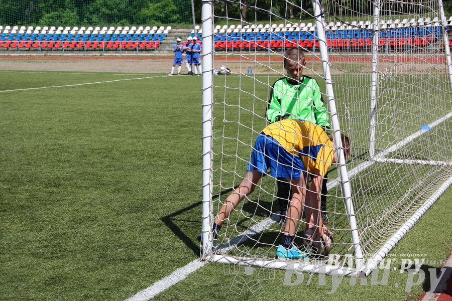 «Локобол-2013» в Великих Луках