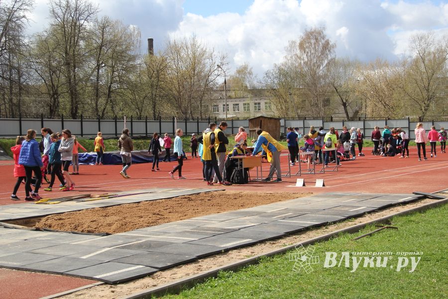 В Великих Луках проходят соревнования «Шиповка юных» (ФОТО)