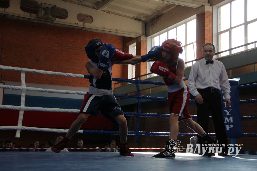 В Великих Луках прошел турнир по боксу памяти Е. Клевцова (ФОТО)