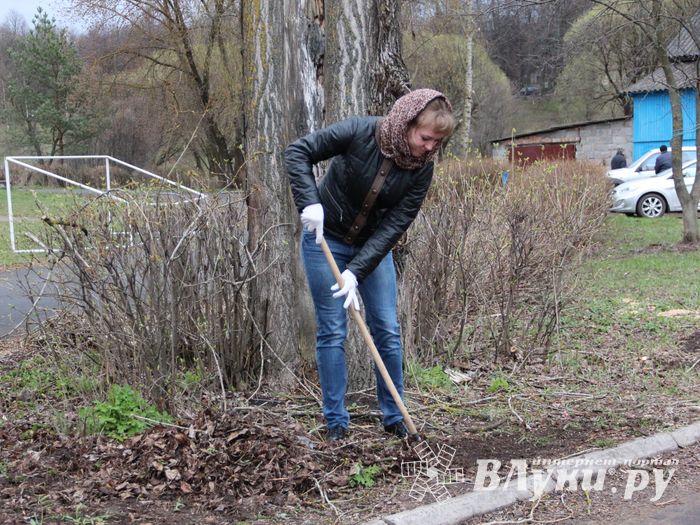 На острове Дятлинка проходит субботник