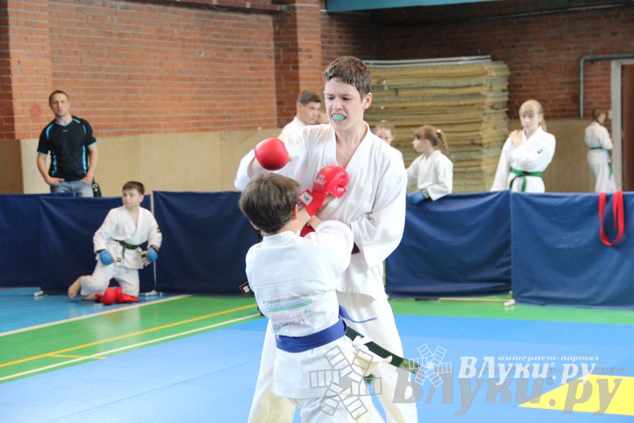 Турнир по каратэ «Неприкосновенный запас — дети Отчизны»