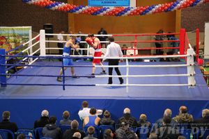 16-й Международный турнир по боксу (фото)