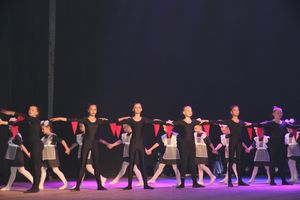 18 мая состоялся юбилейный концерт коллектива мажореток «Золотые погоны» (ФОТО)