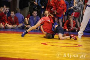 Великолучане стали первыми в общекомандном зачете турнира по самбо «Память»