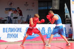 В Великих Луках прошёл Олимпийский День (ФОТО)
