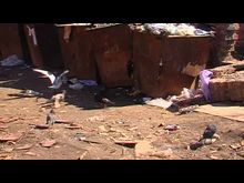 Импульс-ТВ: Двор на Дьяконово